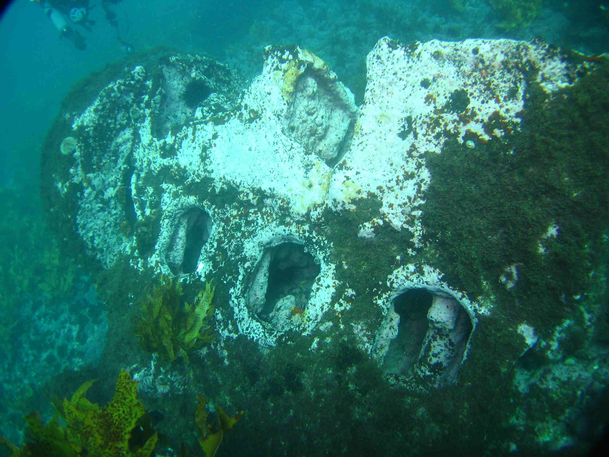 Malabar wreck 200908